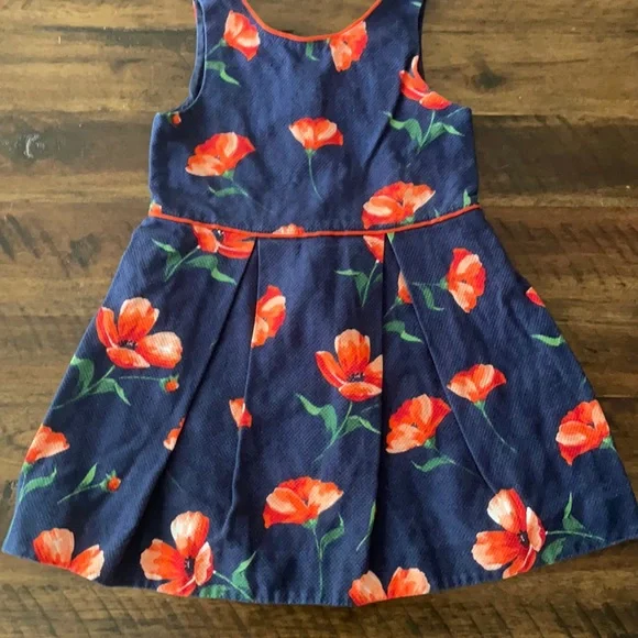 Janie and Jack | Dresses | Janie And Jack Blue Dress With Red Flowers 3t  Excellent Condition | Poshmark